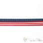 Preview: Beautiful elastic band with Stars & Stripes - 2,5cm width