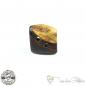 Preview: Handmade Desert Ironwood burl button - 2-hole